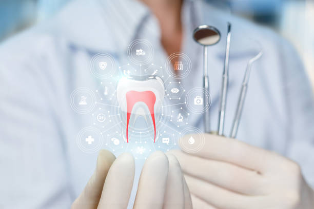 Trusted Jamestown, OH Holistic Dental Care Services Experts